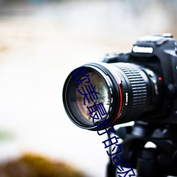 欧美最好的a级suv毛 （爱怜��