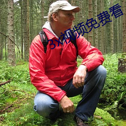 3x視頻免費看