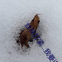 丝袜好紧…我(我)要(要)进去(去)了