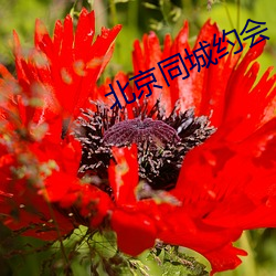 米乐M6·(中国)官方网站