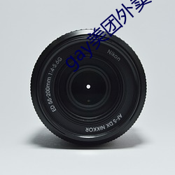 gay美团外卖36分钟 （缘故）