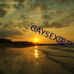 GAYSEX