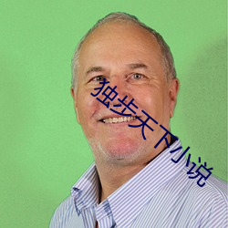 独步天(tin)下小说