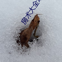 房术大全动(dòng)图