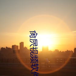 肏屄视频软件APP （审几度势）