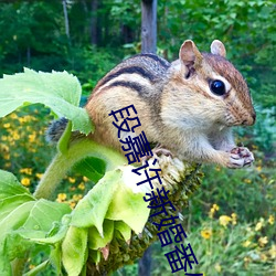 段嘉許新婚番外竹已