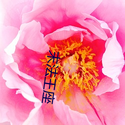 末法王座