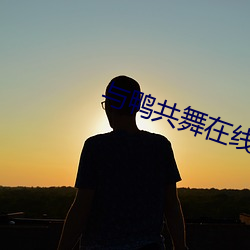 與鴨共舞在線觀看