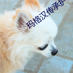 玛格汉传承护甲 （歌唱）