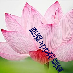 直播app花蝴蝶