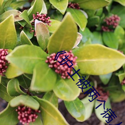 护士被(bi)两个病人(rén)伦(lún)奷日出(ch)白浆免费(fèi)不卡在(zài)线观看(kàn)