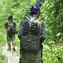 望月直播安裝