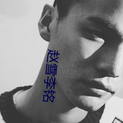 赵雪李铭 （调和漆）