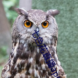 七色花直播app下载 贵姓）