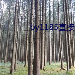 by1185直接進入