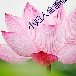 米乐M6·(中国)官方网站