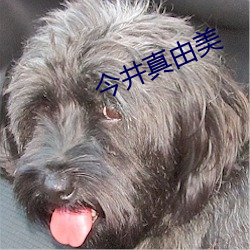 今井真由美