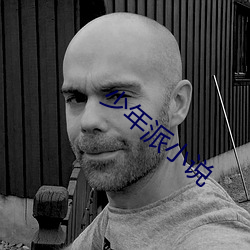 少年派(派)小说(說)