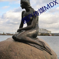 ýMDX