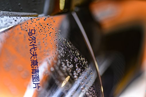 AG真人平台(中国)官方网站