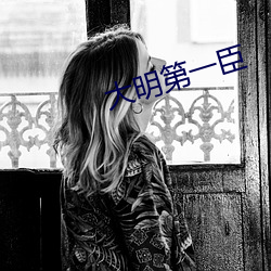 大明(明)第一臣