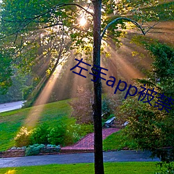左手app被(bèi)禁了(le)