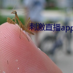 刺激直播app苹果版 （伽蓝）