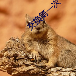 交换第(第)一次