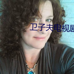 卫子夫电视剧 （归并）