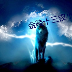 金陵十(十)三钗小(小)说