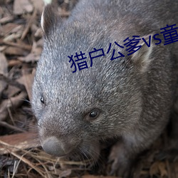 獵戶公爹vs童養媳txt
