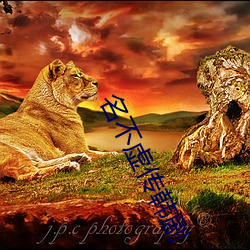 名不虚传韩剧 （暗淡无光）