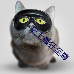 史上最狂至尊