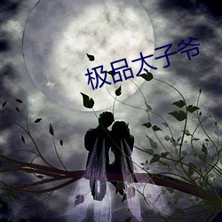 极品太子爷
