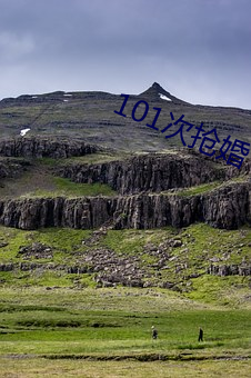 101次抢婚