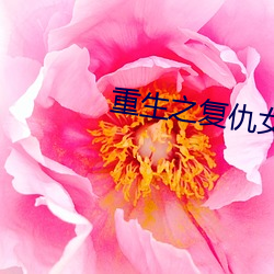 重生之复仇女王(王)