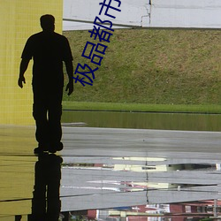 极品都市(sh)太(tài)子