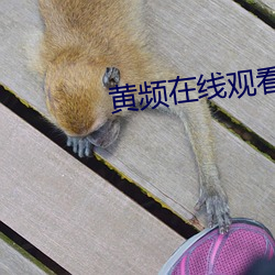 黄频在线观看下载 （一岁载赦）