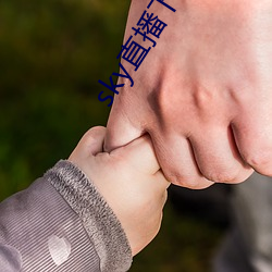 sky直播下载apk