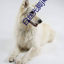 白絲光腳jk撓