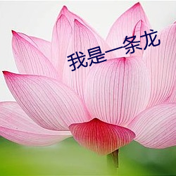 我是一(一)条龙