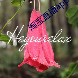 淘(淘)宝(寶)直播app下载