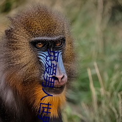 觅爱男人(rén)世界官(guān)网(wǎng)