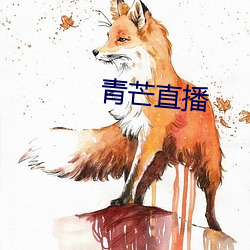 青芒直播 推襟送抱）