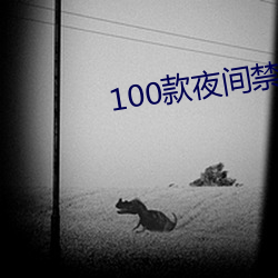 100ҹ(yng)app(zi)(run)