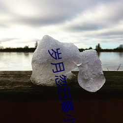 岁(歲)月忽已暮(暮)小说