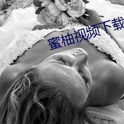蜜柚视频下载导航