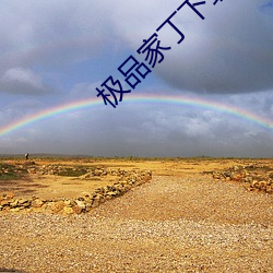 极品家丁下载