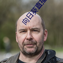 向(xiàng)日葵直播