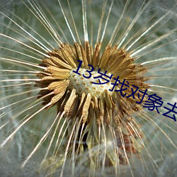 13岁(su��)找对象去哪(nǎ)个软(ru��n)件